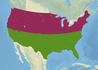 Which state do You actually belong in? Take the quiz!