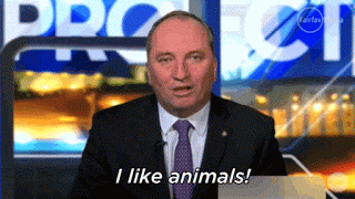 Barnaby Joyce Johnny Depp