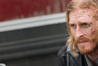 What Happens To Dwight In The Walking Dead?
