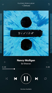 William Sheeran, Nancy Mulligan – Ed’s Grandparents And Parents