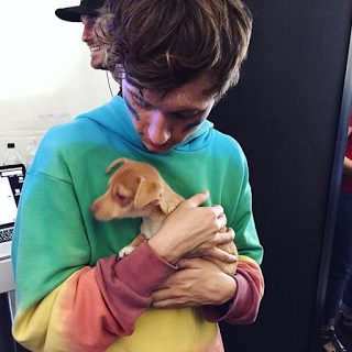 Is Troye Sivan Transgender?