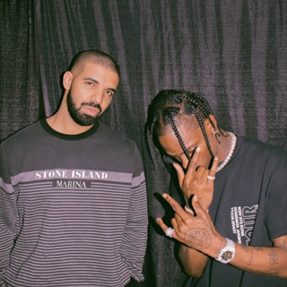 Travis Scott Fan Jumps – Paralyzed?