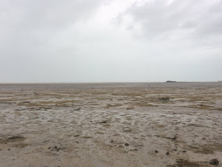 What Happened To The Ocean In The Bahamas?