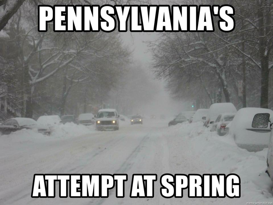 Top 10 Funny Spring Snow Memes That Will Keep You Laughing For Hours
