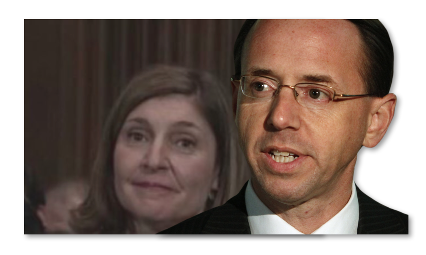 Rod Rosenstein Wife Lisa Barsoomian