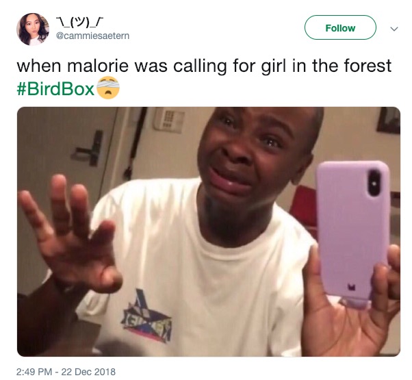 Bird Box Memes