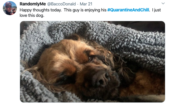 Funny Quarantine And Chill Memes – Top 10